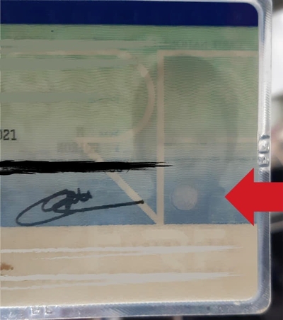 CI française, côté verso avec une flèche rouge indiquant le lieu d'une puce