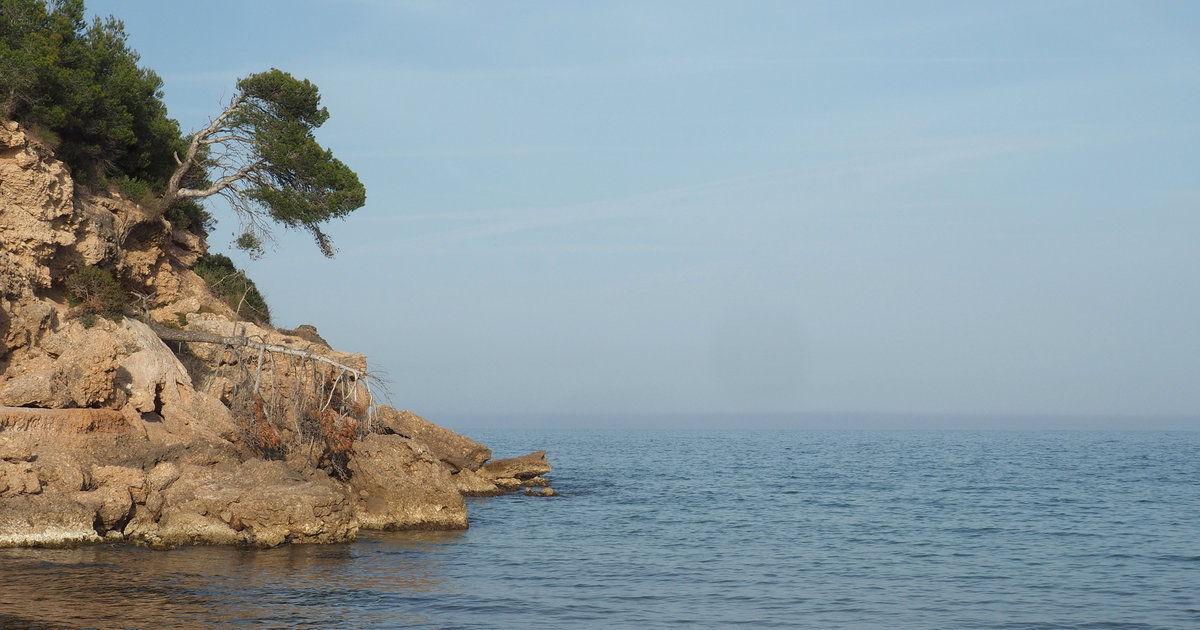 un pin accroché dans la falaise forme une image de vague