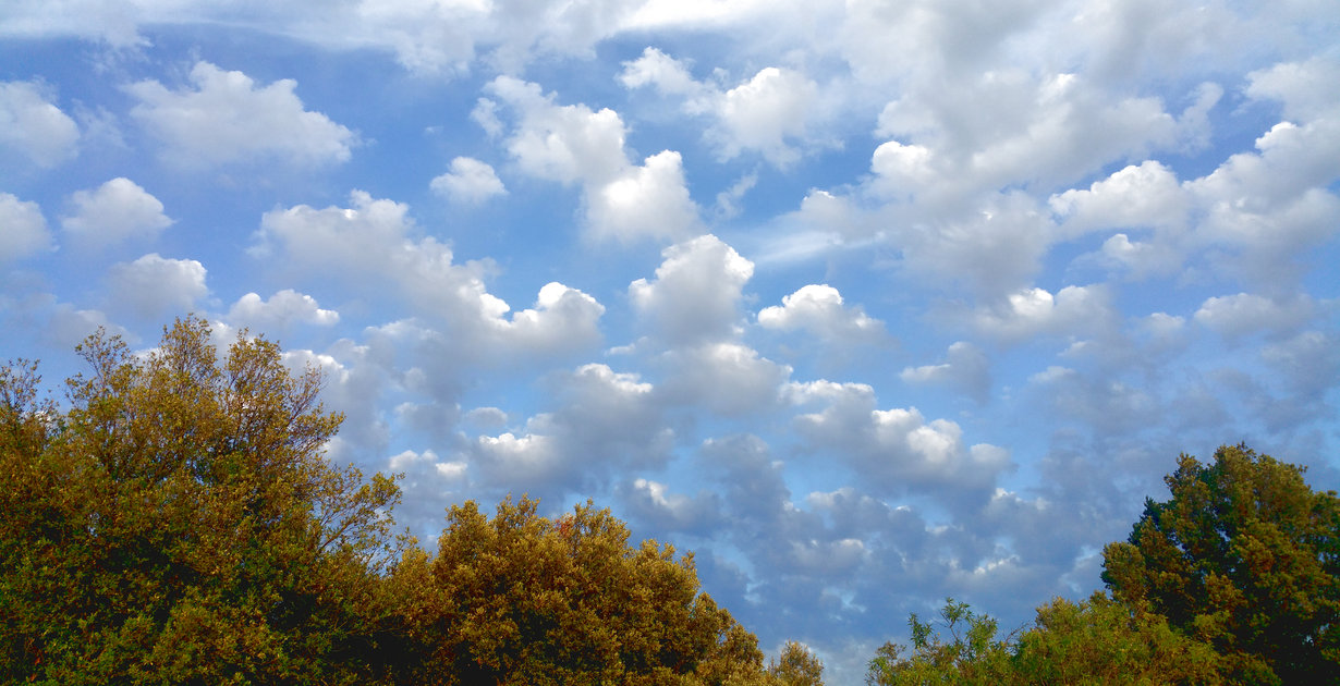 nuées de petits nuages blancs sur fond bleu