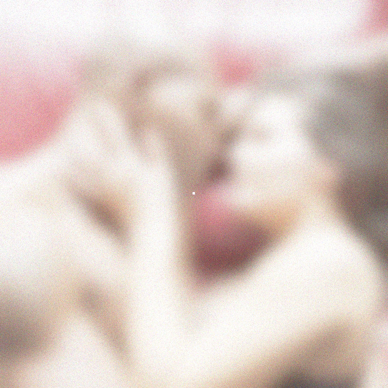 image floutée d'un couple