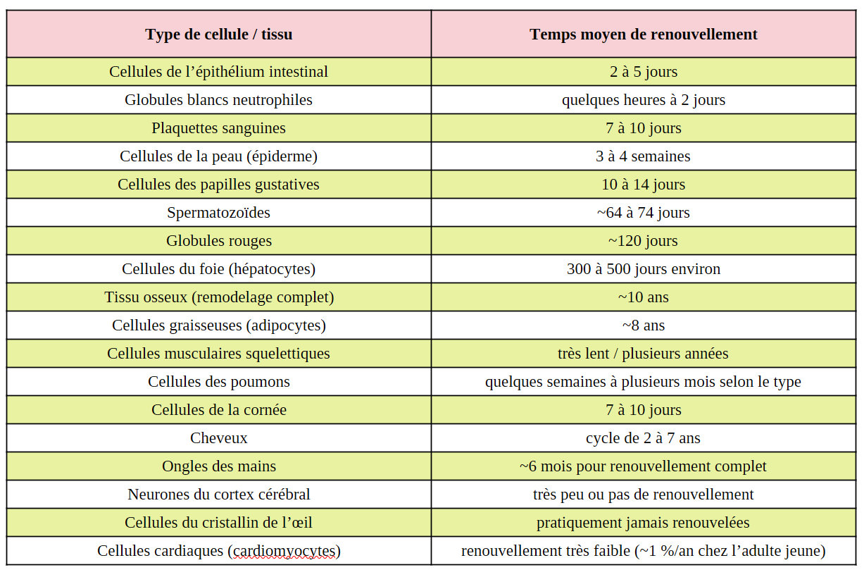 tableau type de cellules et périodes de renouvellement