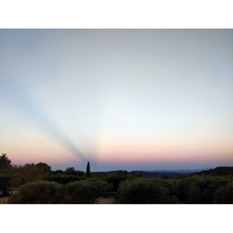 Image 020