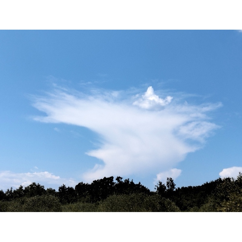 Image 021