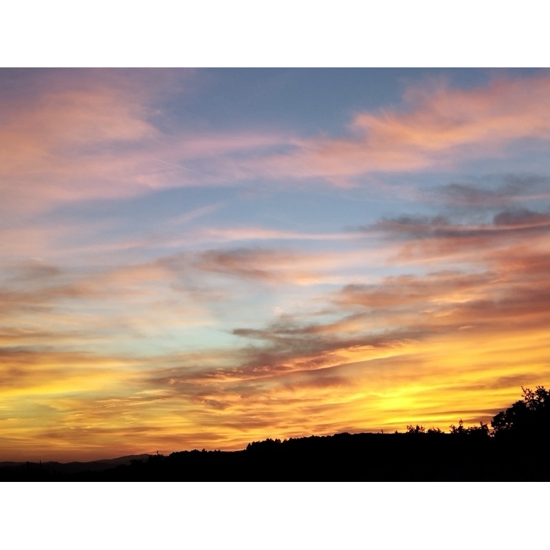 Image 022