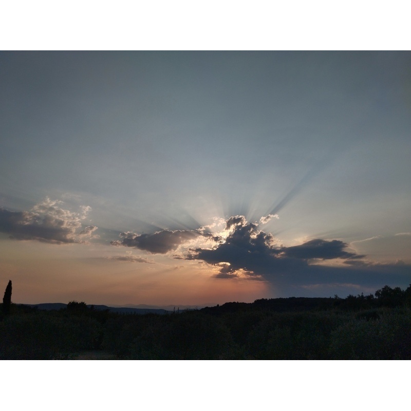 Image 023