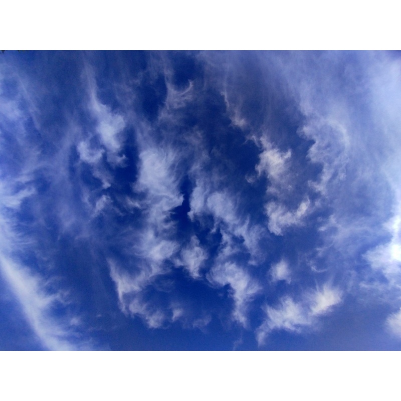 Image 024