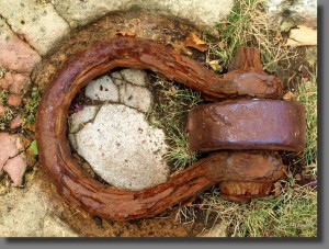 Pour s'enchaîner à la Terre