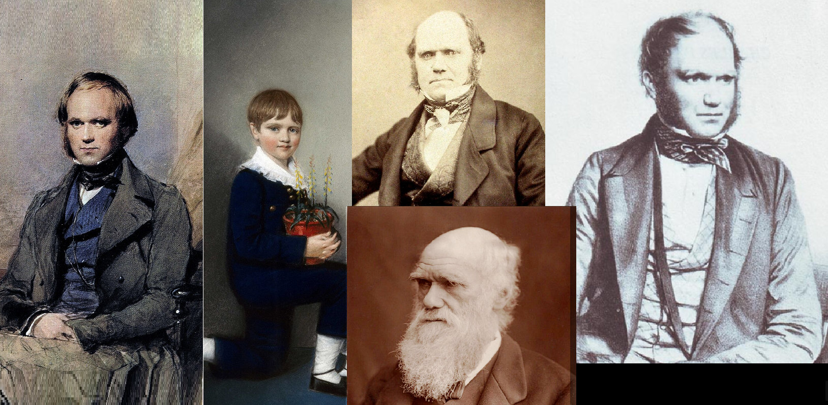 Divers portraits rassemblés de Darwin