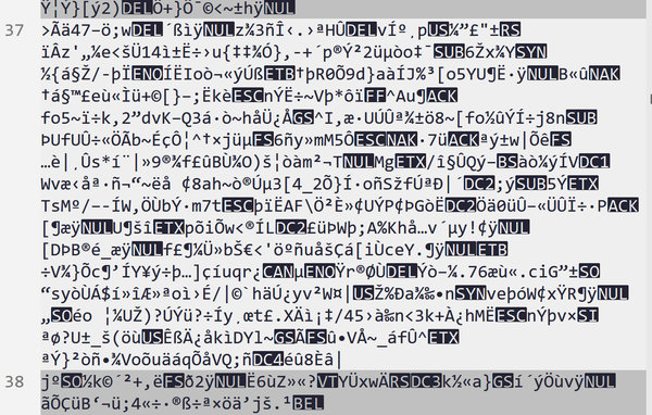 image lu par un logiciel de codage